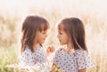 Two little happy identical twin girls playing together in nature in summer. Girls friendship and youth concept. Active children`s