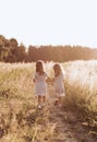 Two little happy identical twin girls playing together in nature in summer. Girls friendship and youth concept. Active children`s