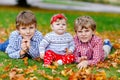 Two little happy kid boys with newborn baby girl, cute sister. Siblings on grass in autumn park with yellow and red Royalty Free Stock Photo