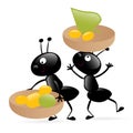 Two little hardworking bugs Royalty Free Stock Photo