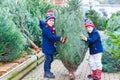 Two little kid boys buying christmas tree in outdoor shop Royalty Free Stock Photo