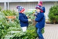 Two little kid boys buying christmas tree in outdoor shop Royalty Free Stock Photo