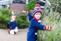 Two little kid boys buying christmas tree in outdoor shop Royalty Free Stock Photo