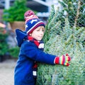 Two little kid boys buying christmas tree in outdoor shop Royalty Free Stock Photo