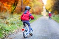 Two little kid boys cycling with bicycles in autumn forest park in colorful clothes Royalty Free Stock Photo