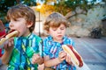 Two little kid boys eating hot dogs outdoors Royalty Free Stock Photo