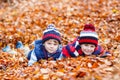 Two little kid boys lying in autumn leaves, in park.