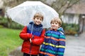 Two little kid boys on way to school walking during sleet, rain and snow with an umbrella on cold day