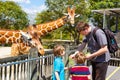 Two little kids boys and father watching and feeding giraffe in