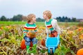 Two little kids boys picking pumpkins on Halloween or Thanksgiving pumpkin patch Royalty Free Stock Photo
