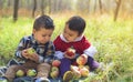 Two little kids eating apples in the park in autumn Royalty Free Stock Photo