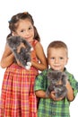 Two little kids holding a gray kittens