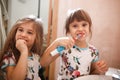 Two little nice sisters dressed in identical shirts brush their teeth in the bathroom