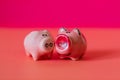 Two little pigs on a pink background. Composition for Valentine`s Day. Finance concept. Piggy bank, animals, figurines. Copy space Royalty Free Stock Photo