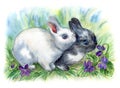 Two little rabbits among violets, watercolor Royalty Free Stock Photo