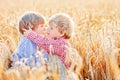 Two little sibling boys and friends in check shirts having fun and hugging on yellow wheat field in summer. Active Royalty Free Stock Photo