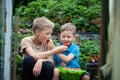 Two little sibling boys having fun and eating strawberry on organic farm in summer Royalty Free Stock Photo