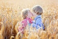 Two little sibling boys having fun and hugging on yellow wheat Royalty Free Stock Photo