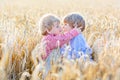 Two little sibling boys having fun and hugging on yellow wheat Royalty Free Stock Photo