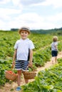 Two little sibling boys on strawberry farm in summer Royalty Free Stock Photo