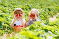 Two little sibling boys on strawberry farm in summer Royalty Free Stock Photo