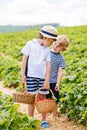 Two little sibling boys on strawberry farm in summer Royalty Free Stock Photo