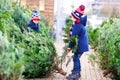 Two little kid boys buying christmas tree in outdoor shop Royalty Free Stock Photo