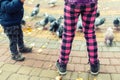 Two little siblings children having fun feeding many pigeons at city park at cold autumn day. Pair of kids, brother and Royalty Free Stock Photo