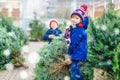 Two little siblings kids boys holding Christmas tree on a market. Happy children in winter fashion clothes choosing and