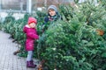 Two little siblings toddler girl and kid boy holding Christmas tree on a market. Happy children in winter fashion Royalty Free Stock Photo