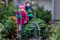 Two little siblings toddler girl and kid boy holding Christmas tree on a market. Happy children in winter fashion Royalty Free Stock Photo