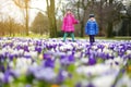 Two little sisters picking crocus flowers on beautiful blooming crocus meadow on early spring Royalty Free Stock Photo