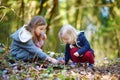 Two little sisters picking the first flowers of spring Royalty Free Stock Photo