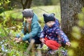 Two little sisters picking the first flowers of spring while hiking in the woods Royalty Free Stock Photo