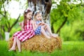 Two little sisters sitting on a haystack in apple tree garden Royalty Free Stock Photo