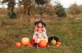 Two little sisters are sitting in the middle of a field and hugging each other around a lot of big and small pumpkins.the theme of Royalty Free Stock Photo