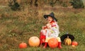 Two little sisters are sitting in the middle of a field and hugging each other around a lot of big and small pumpkins.the theme of Royalty Free Stock Photo