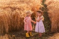 Two little sisters in straw hats and pink dresses are running around in a wheat field, having fun Royalty Free Stock Photo