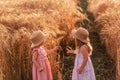 Two little sisters in straw hats and pink dresses are running around in a wheat field, having fun Royalty Free Stock Photo