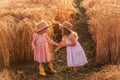 Two little sisters in straw hats and pink dresses are running around in a wheat field, having fun Royalty Free Stock Photo
