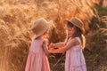 Two little sisters in straw hats and pink dresses are running around in a wheat field, having fun Royalty Free Stock Photo