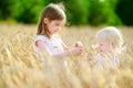 Two little sisters in wheat field on summer day Royalty Free Stock Photo
