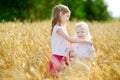 Two little sisters in wheat field on summer day Royalty Free Stock Photo