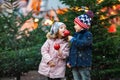 Two little smiling kids, boy and girl eating crystalized sugared apple on German Christmas market. Happy friends in Royalty Free Stock Photo