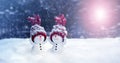 Two little snowmen in caps on snow in the winter. Background with a funny snowman. Christmas card Royalty Free Stock Photo