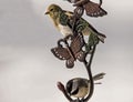 Two little Songbirds sit on a metal decoration.