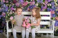 Little twin girls in the garden on a bench against the background of a floral wall with bouquets of flowers in their hands Royalty Free Stock Photo