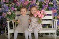 Little twin girls in the garden on a bench against the background of a floral wall with bouquets of flowers in their hands Royalty Free Stock Photo