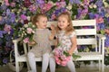 Little twin girls in the garden on a bench against the background of a floral wall with bouquets of flowers in their hands Royalty Free Stock Photo