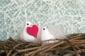 Two little white birds in love in the nest with red heart. Valent Royalty Free Stock Photo